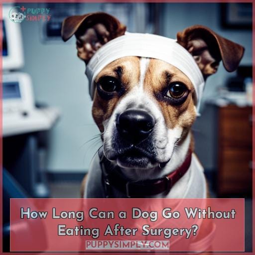 How Long Can A Dog Go Without Eating After Surgery