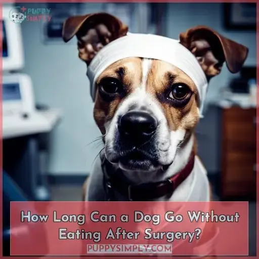 How Long Can a Dog Go Without Eating After Surgery?