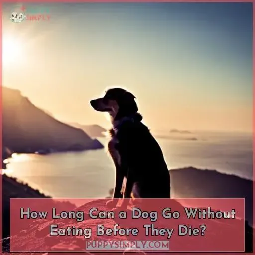 How Long Can a Dog Go Without Eating Before They Die?