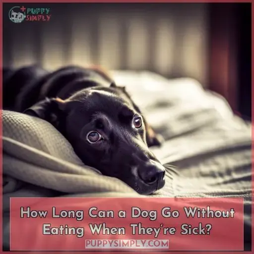 How Long Can a Dog Go Without Eating When They’re Sick?