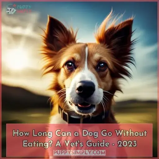 how long can a dog go without eating