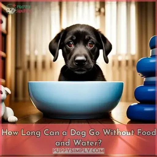 How Long Can a Dog Go Without Food and Water