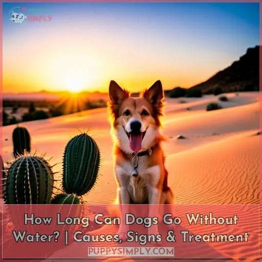 how long can a dog go without water