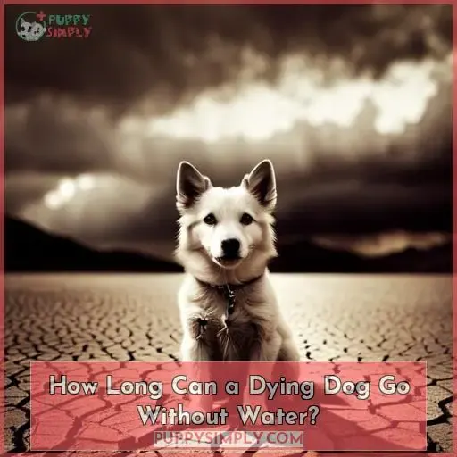How Long Can a Dying Dog Go Without Water?