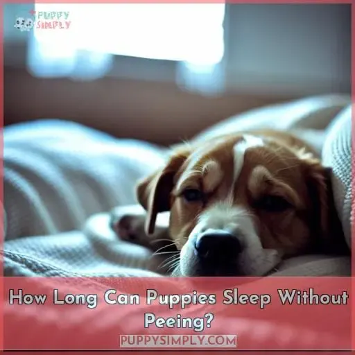How Long Can Puppies Sleep Without Peeing?