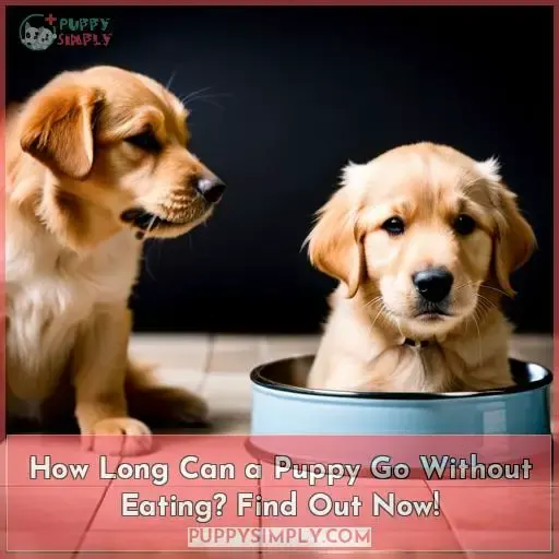 how long can puppy go without eating