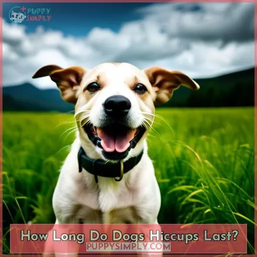 How Long Do Dogs Hiccups Last?