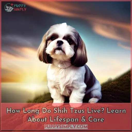 how long do shih tzu live