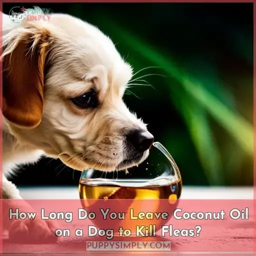 How Long Do You Leave Coconut Oil on a Dog to Kill Fleas?
