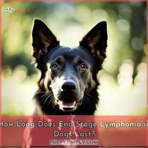 How Long Does End Stage Lymphoma in Dogs Last?