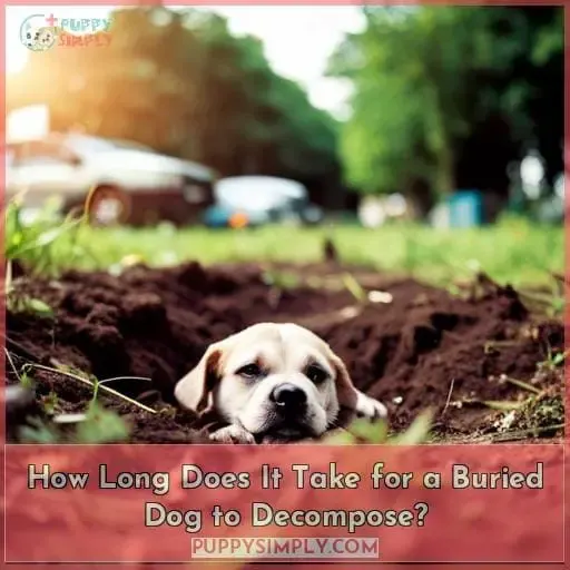 How Long Does It Take for a Buried Dog to Decompose?