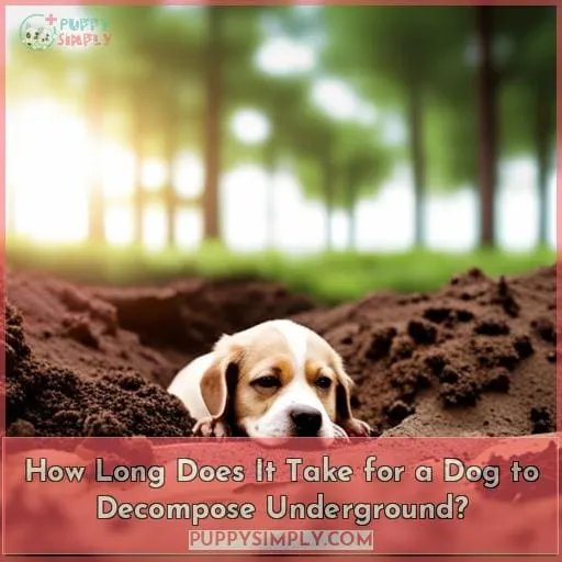 How Long Does It Take for a Dog to Decompose Underground?