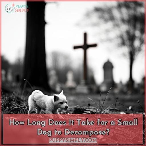 How Long Does It Take for a Small Dog to Decompose?