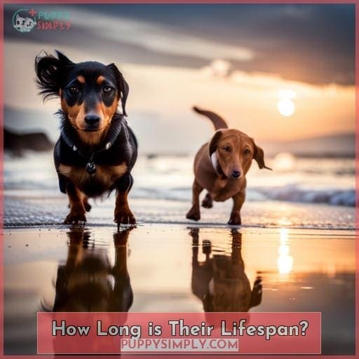 How Long is Their Lifespan?