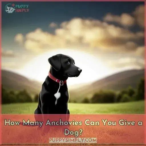 How Many Anchovies Can You Give a Dog?