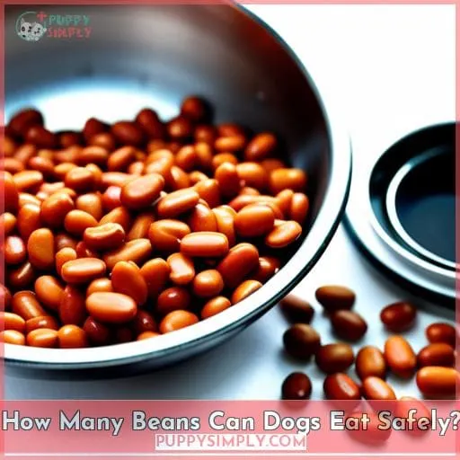How Many Beans Can Dogs Eat Safely?