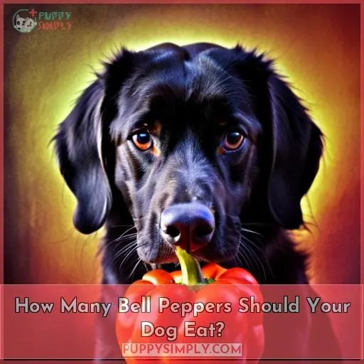 How Many Bell Peppers Should Your Dog Eat?