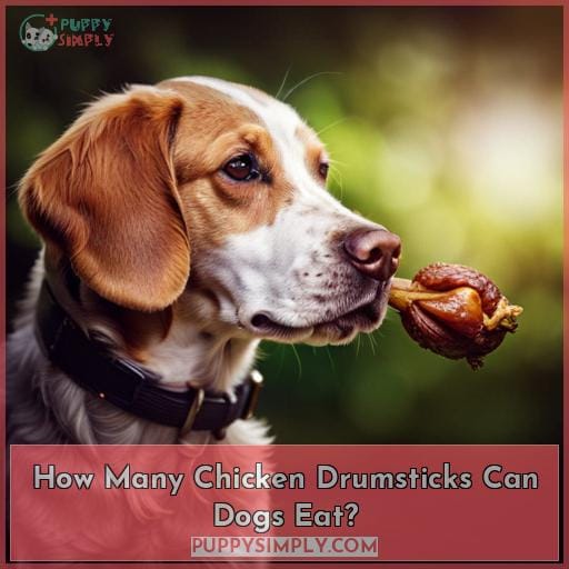 How Many Chicken Drumsticks Can Dogs Eat?