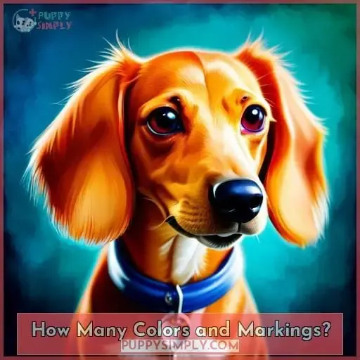 How Many Colors and Markings?