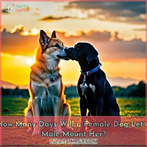 How Many Days Will a Female Dog Let a Male Mount Her?