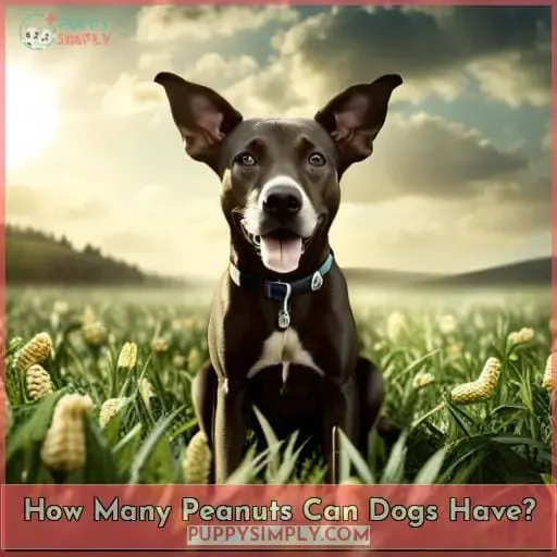 How Many Peanuts Can Dogs Have?