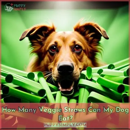 How Many Veggie Straws Can My Dog Eat?
