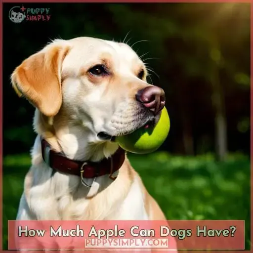 How Much Apple Can Dogs Have