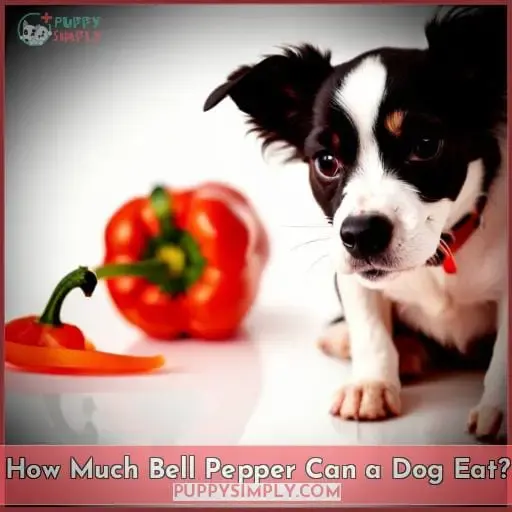 How Much Bell Pepper Can a Dog Eat?