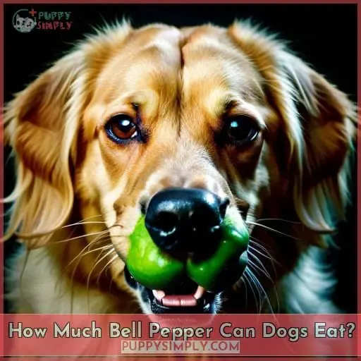 How Much Bell Pepper Can Dogs Eat?