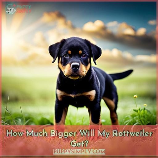 Grow Your Rottweiler Right: Weight & Height Chart for Male & Female