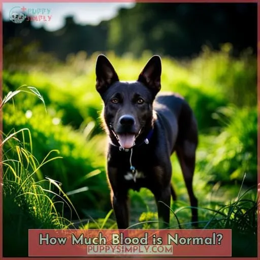 How Much Blood is Normal?