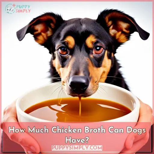 How Much Chicken Broth Can Dogs Have?