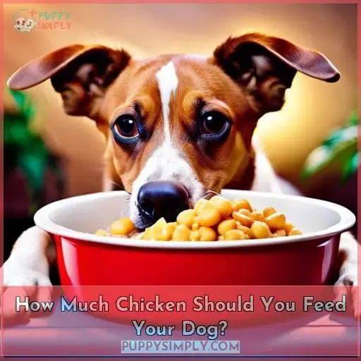 How Much Chicken Should You Feed Your Dog?