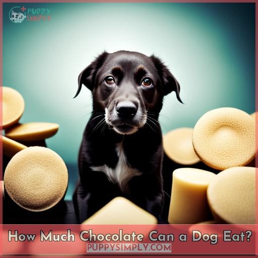 How Much Chocolate Can a Dog Eat?