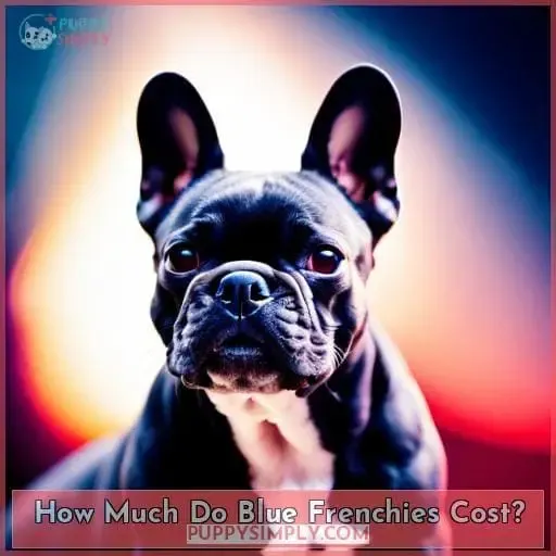 How Much Do Blue Frenchies Cost?