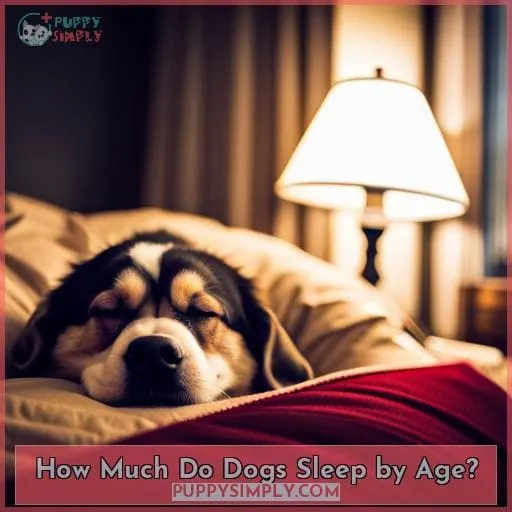 How Much Do Dogs Sleep by Age?