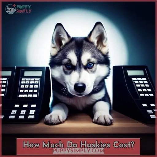 How Much Do Huskies Cost?