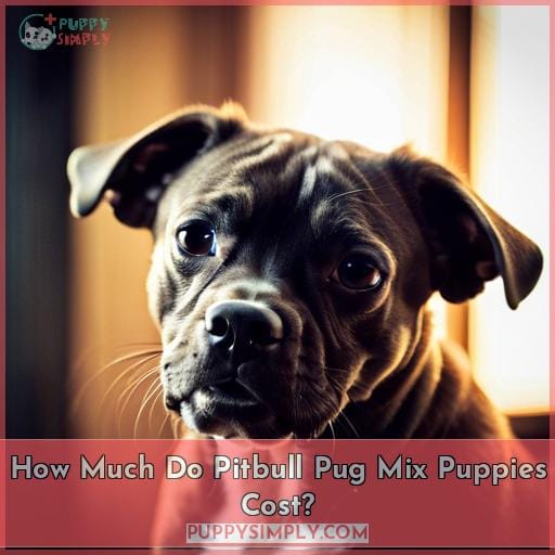 How Much Do Pitbull Pug Mix Puppies Cost