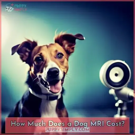 How Much Does a Dog MRI Cost?