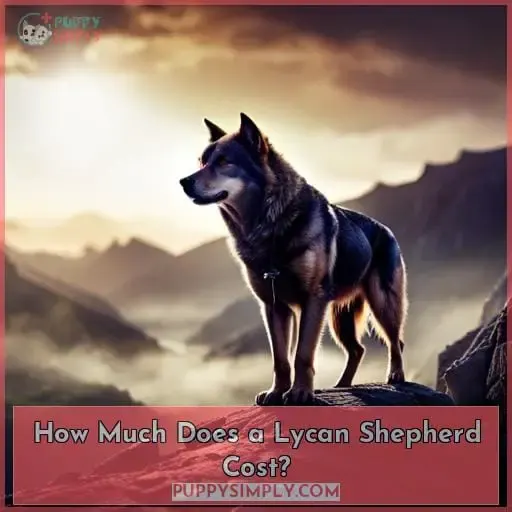 How Much Does a Lycan Shepherd Cost