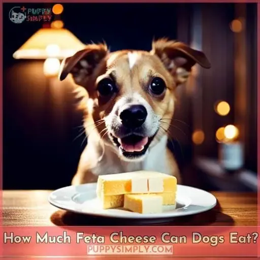 How Much Feta Cheese Can Dogs Eat?