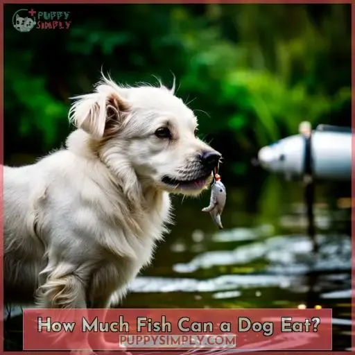 How Much Fish Can a Dog Eat?
