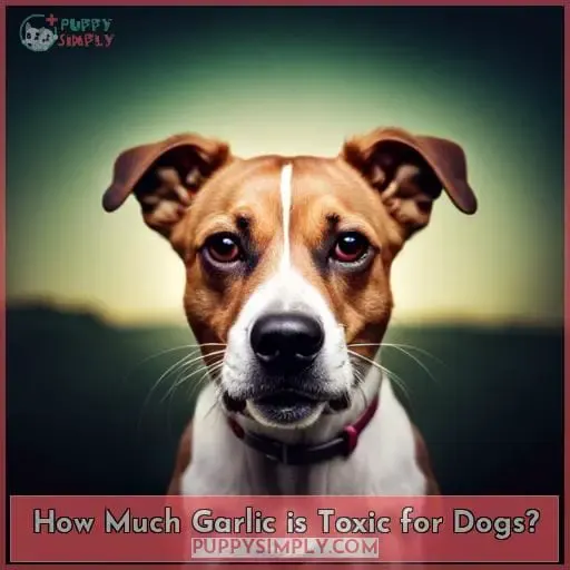 How Much Garlic is Toxic for Dogs?