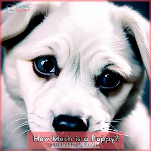 How Much is a Puppy?