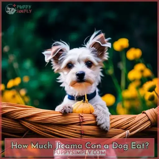 How Much Jicama Can a Dog Eat?