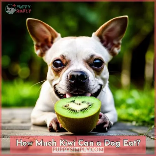 How Much Kiwi Can a Dog Eat?