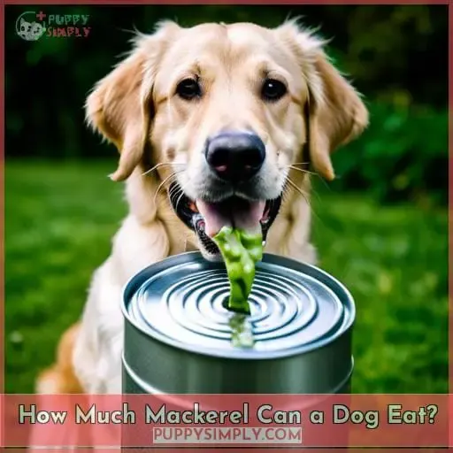 How Much Mackerel Can a Dog Eat