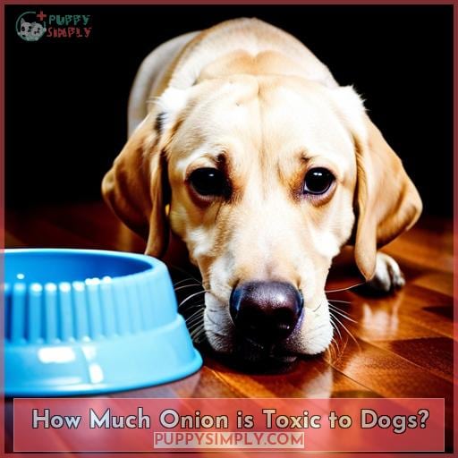 How Much Onion is Toxic to Dogs