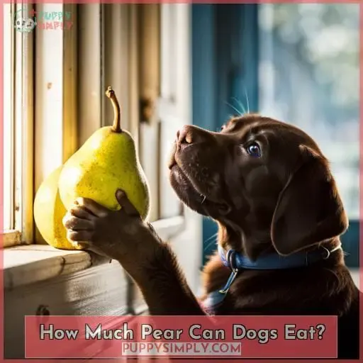 How Much Pear Can Dogs Eat