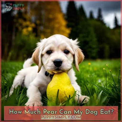 How Much Pear Can My Dog Eat?